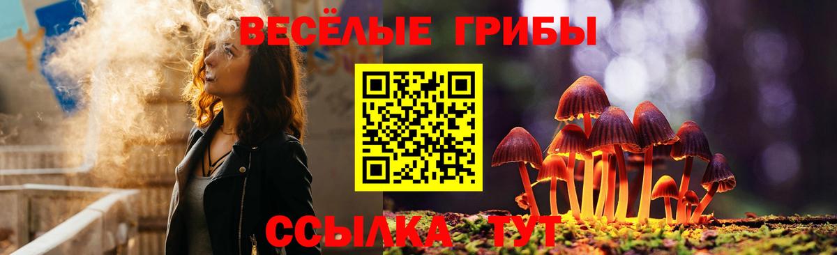 Псилоцибиновые грибы Psilocybine cubensis  Вход с VPN  Псилоцибиновые грибы мухоморы  Красноармейск 
